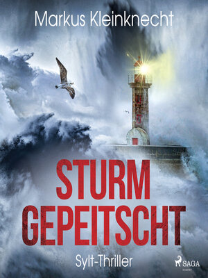 Sturmgepeitscht - Audiobook